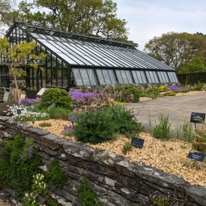 Wisley alpine house